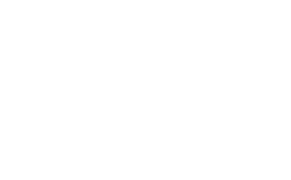 Adyen small white logo