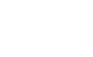 braintree small white logo