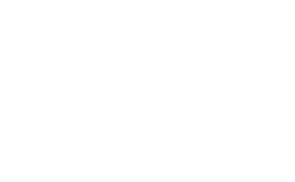 bridge small white logo