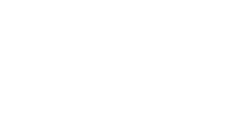 olo small white logo