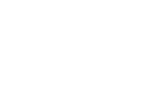 primer small white logo